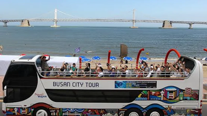 Busan City Tour Bus: Lines, Fares and What You'll See